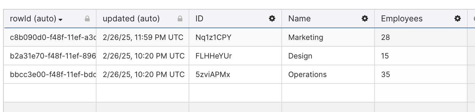 Table after the flow updates the Marketing record