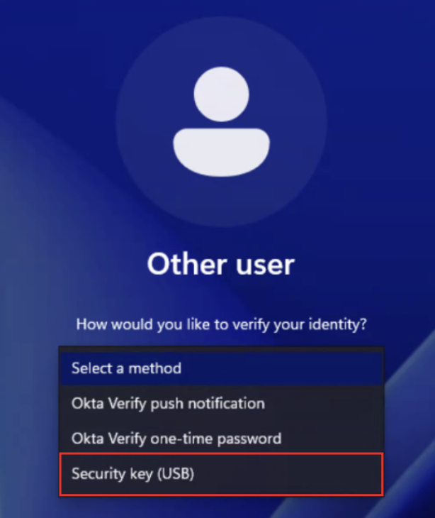 Visible Security key (USB) option