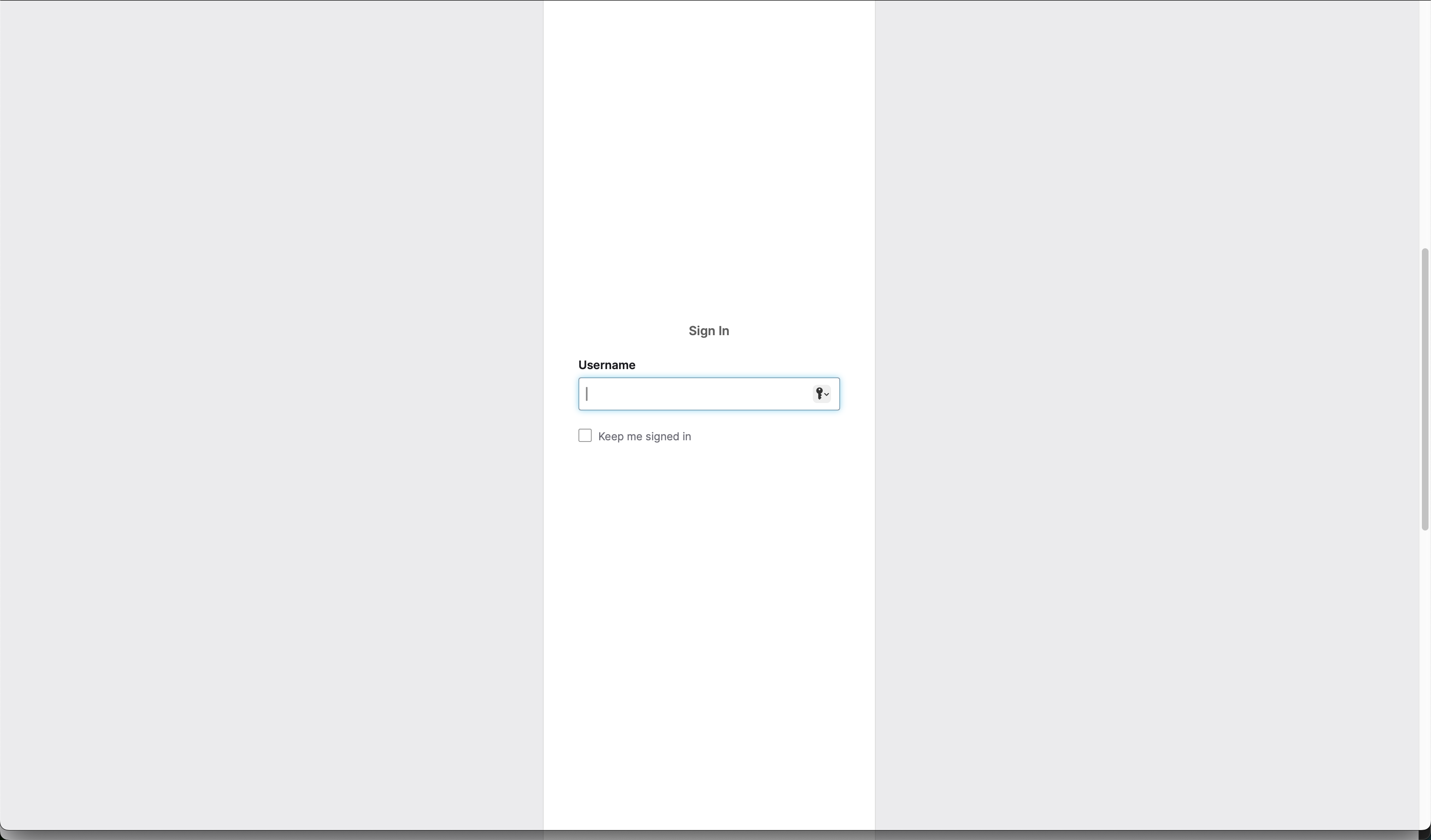 Custom Sign In Page, with a stretched out widget container