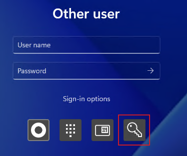 Login Screen