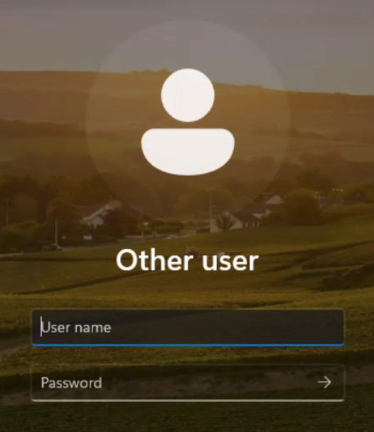 Login Screen